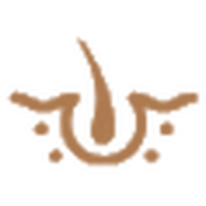 SMP 紋髮|<span>模擬自然毛囊</span>